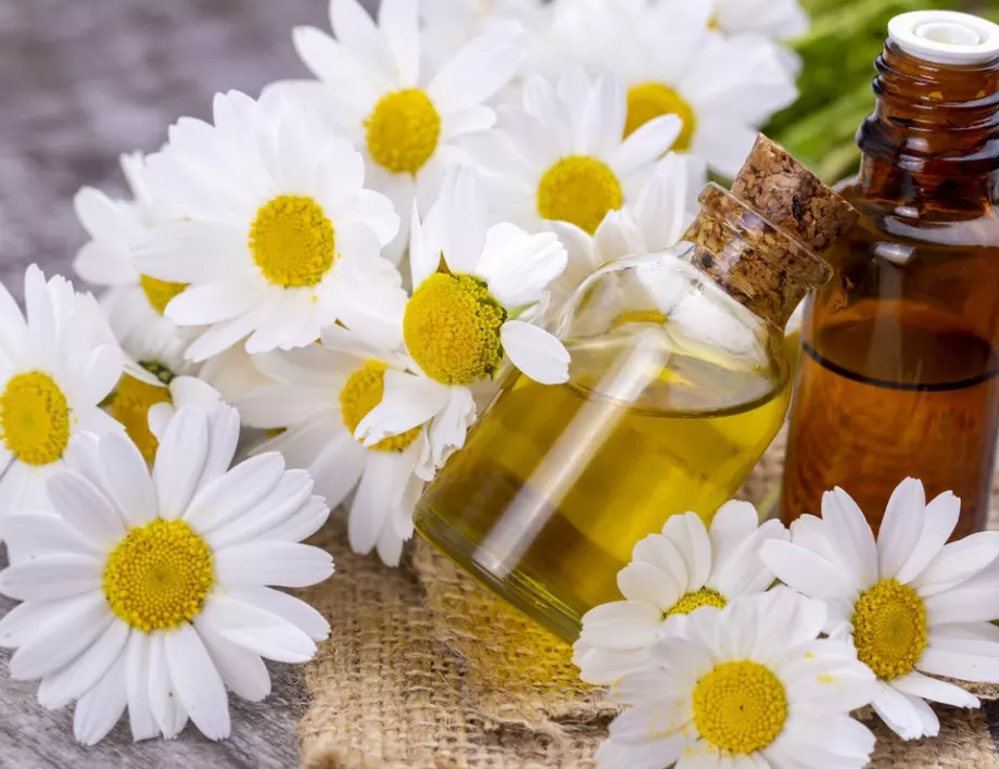 Най-добрите билки за женското здраве