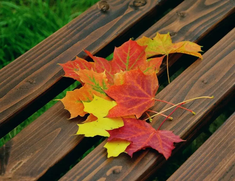 Времето утре - 8 септември 