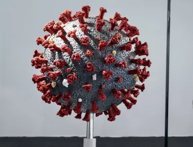 Коронавирусът комбинира функции на други вируси 