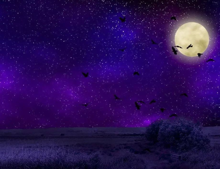 Фазата на луната - какво определя в живота ни