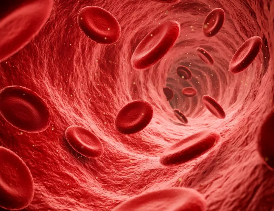 Кардиолог: Тези храни разреждат кръвта и пазят сърцето здраво 100 години