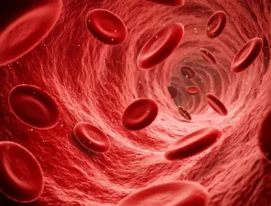 Кардиолог: Тези храни разреждат кръвта, яжте ги всеки ден