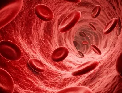 Кръв от пъпната връв е възможно да лекува рак на кръвта 