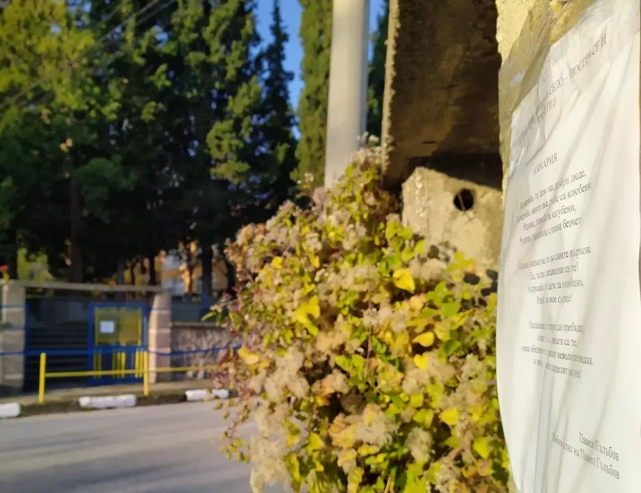 "Поезия и проза на село" украсиха улиците на Паталеница (СНИМКИ)