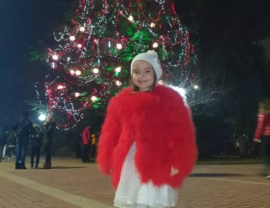 Грейнаха светлините на най-голямото живо Коледно дърво в България