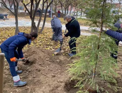 Над 800 храсти и дървета бяха засадени в парка на Куклен (СНИМКИ)