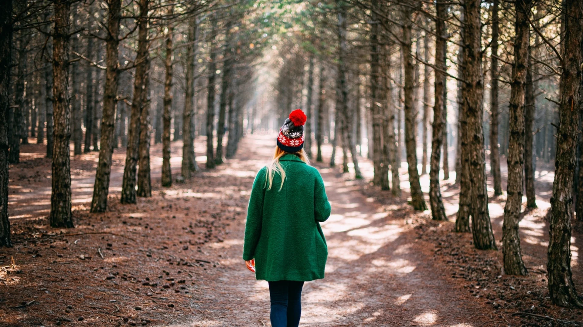 Прогноза за времето - 20 ноември 2023 г. (понеделник)