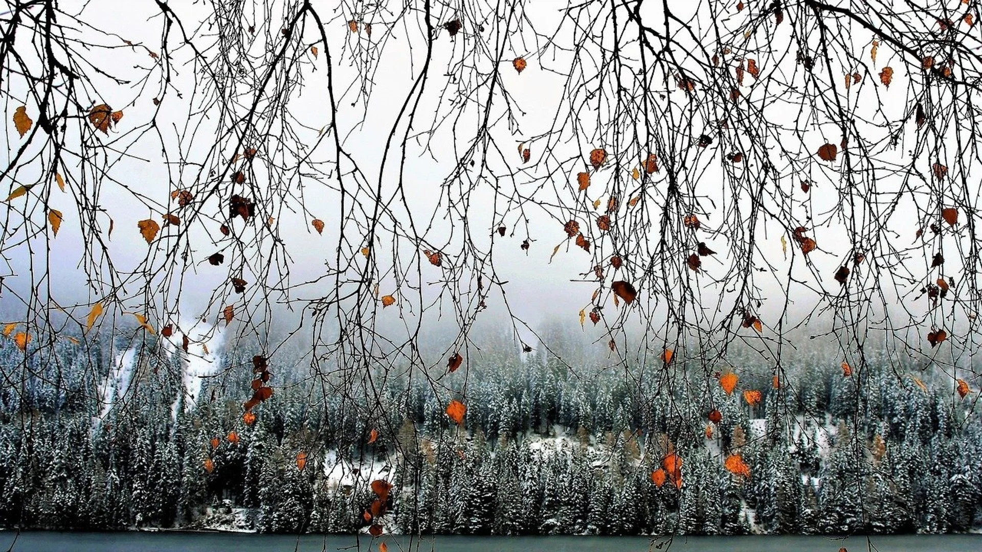 Прогноза за времето - 29 февруари 2024 г. (четвъртък)