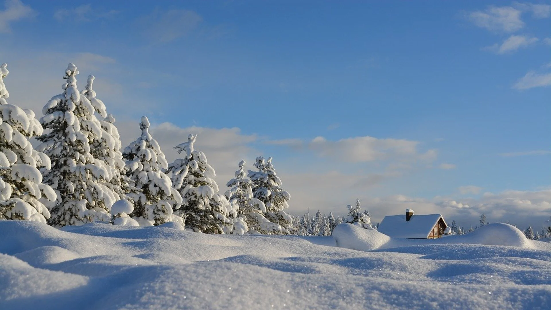 Прогноза за времето - 5 януари 2024 г. (петък)