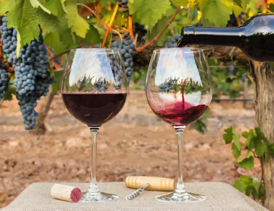 Чаша добро вино на ден се оказа вредна за здравето