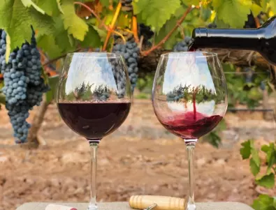 Как да предпазим виното от вкисване в летните горещини?