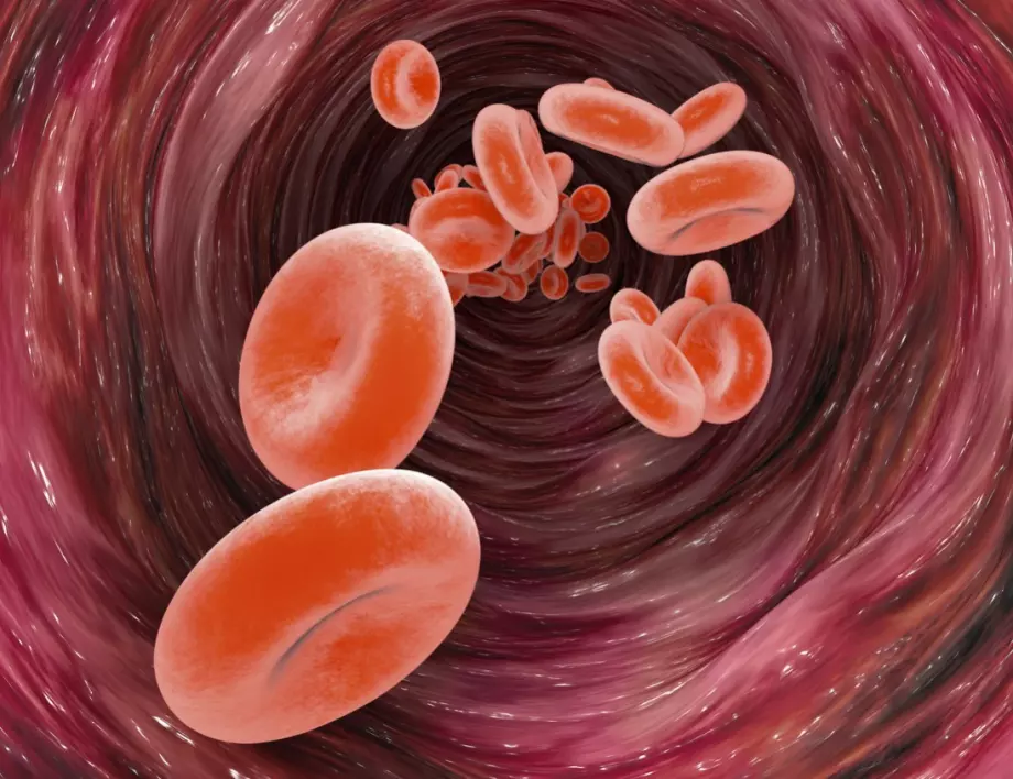 Как кръвната група влияе на цялостното ни здраве