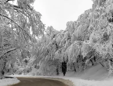 Германия: Пътната ситуация се усложнява, в Мюнстер заради снега спря транспортът