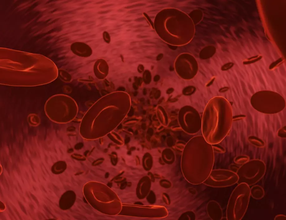 Хората с кръвна група А са с по-висок риск от заразяване с коронавирус?