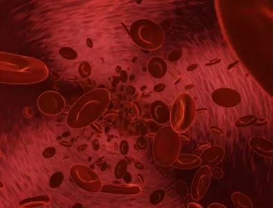Учени от Харвард разкриха коя е най-опасната кръвна група