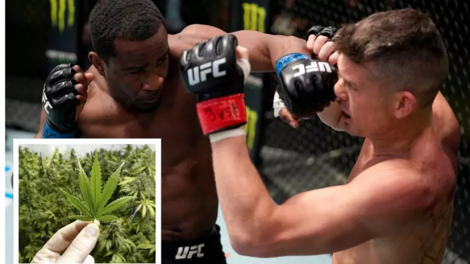 UFC с революционно решение: Ако си "положителен" за марихуана, не е нарушение