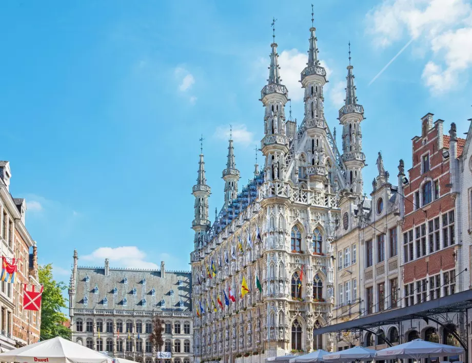 Белгия смята да пусне пътуванията извън страната