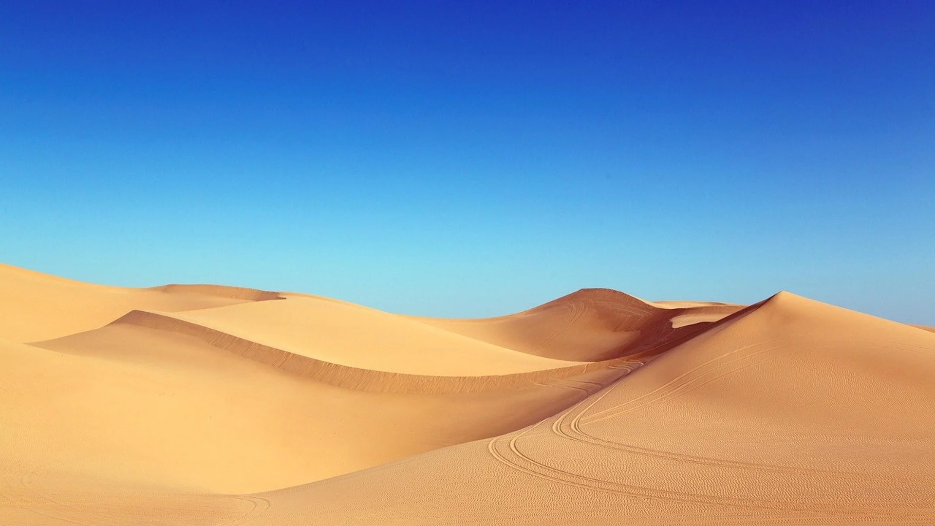 Къде се намира най-голямата пустиня в света
