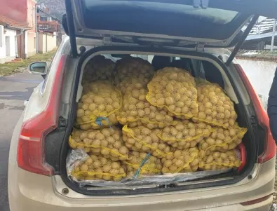 Компании изкупуват картофи и ги даряват на нуждаещи се