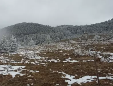 Любители на екстремните спортове разрушават горски пътеки край Асеновград