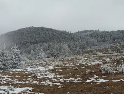 Мъжът, паднал в пропаст в планината Беласица, е спасен 