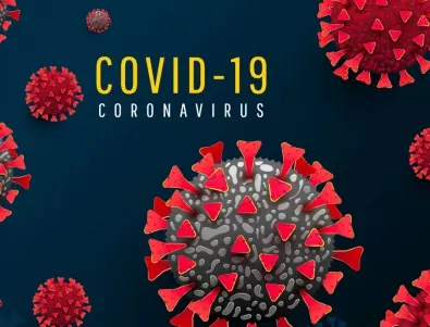 Огнище на COVID-19 е установено сред група български ученици на езиков лагер в Австрия
