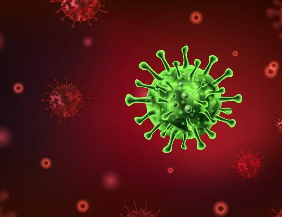 СЗО: Има данни за повторна зараза с коронавирус при наличието на антитела