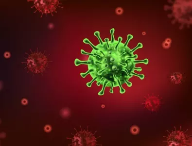 България е на четвърто място в ЕС по смъртност от коронавирус