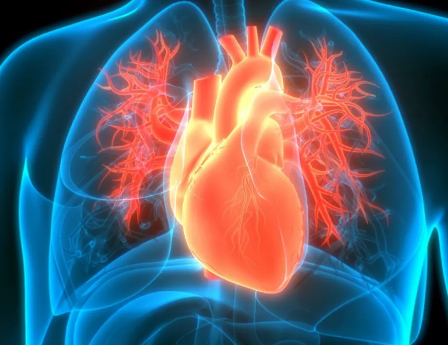 Тези 4 храносмилателни проблема може да сигнализират за инфаркт 
