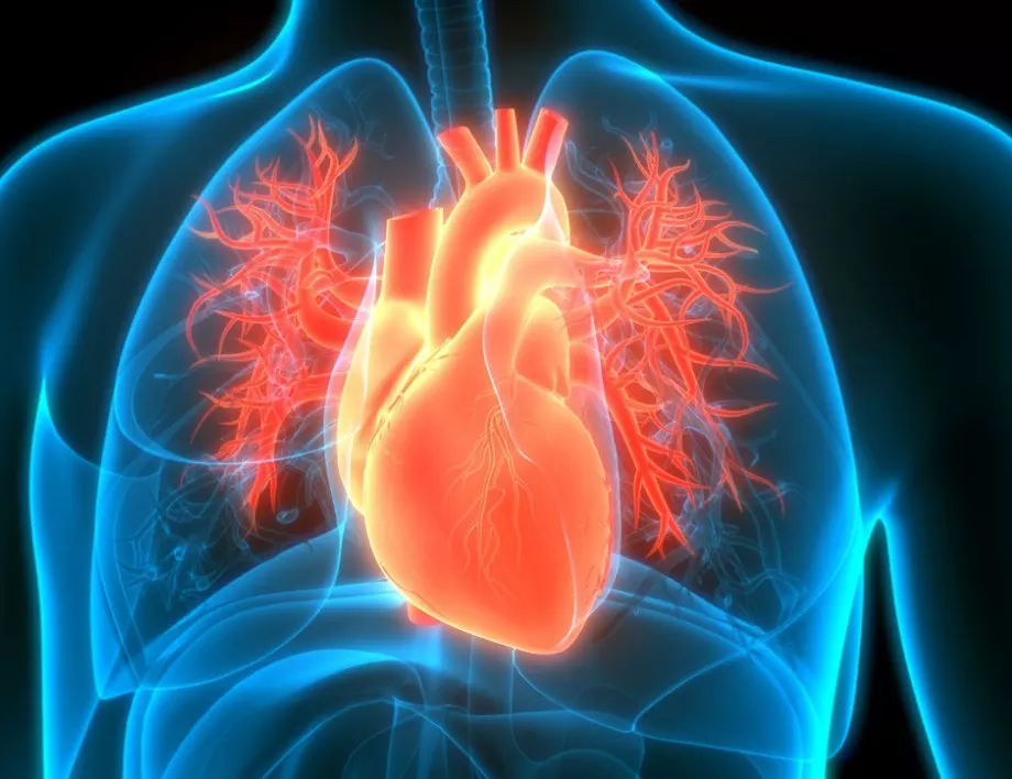 Това е най-големият враг на сърцето, същинска отрова