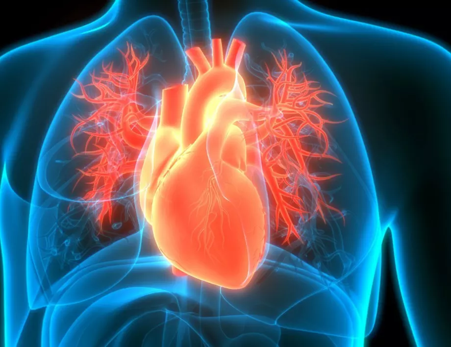 Лекар: Този навик уврежда сърцето повече от пушенето