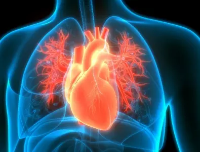 5 лесни стъпки за предотвратяване на сърдечни заболявания