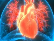 Учени: Високото кръвно е пагубно не само за сърцето, но и за този орган
