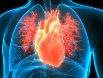 Кардиолог каза как да разберете дали сърцето ви е здраво