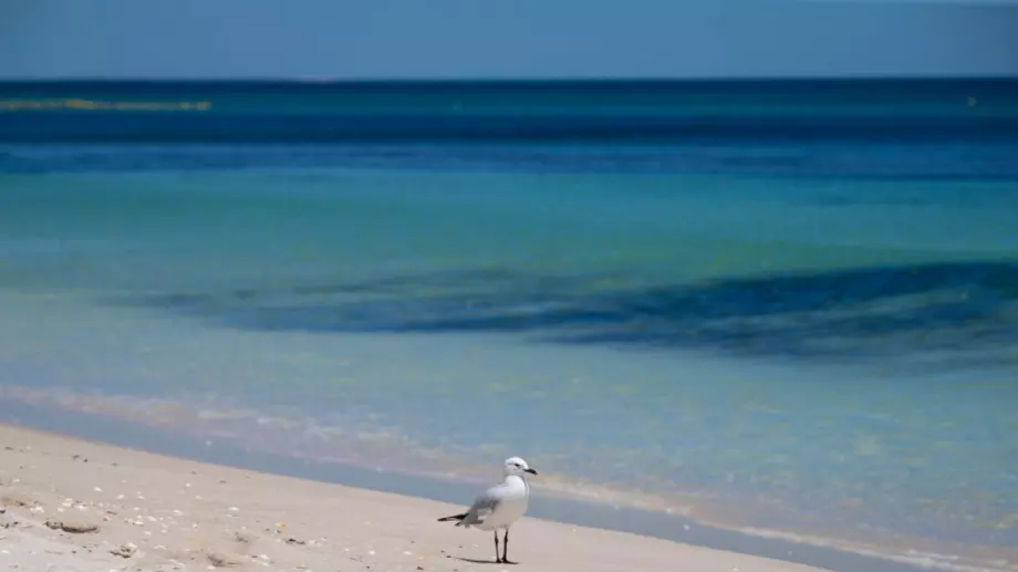 Времето утре - 30 юни