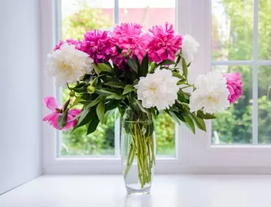 1 лъжица бакпулвер и цветята във вазата ще са свежи седмици наред 