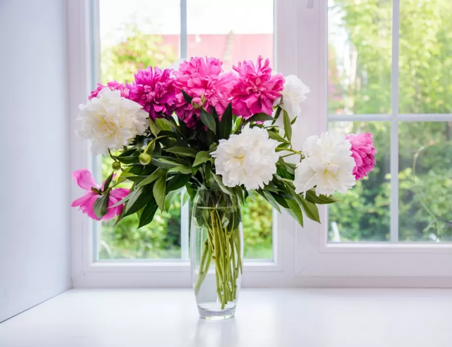 Как да предпазим цветята вкъщи от изсъхване по време на лятната си почивка