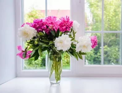 Как да накараме цветята във вазата да ни радват по-дълго