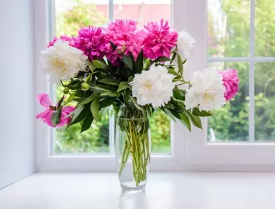 Цветар разкри прост трик с вазата, с който цветята издържат по 1 месец