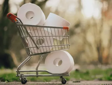 Какво са използвали хората преди изобретяването на тоалетна хартия?