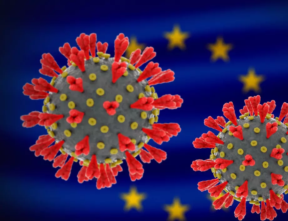 Ухан: Експерти на СЗО проверяват още един пазар за коронавирус 