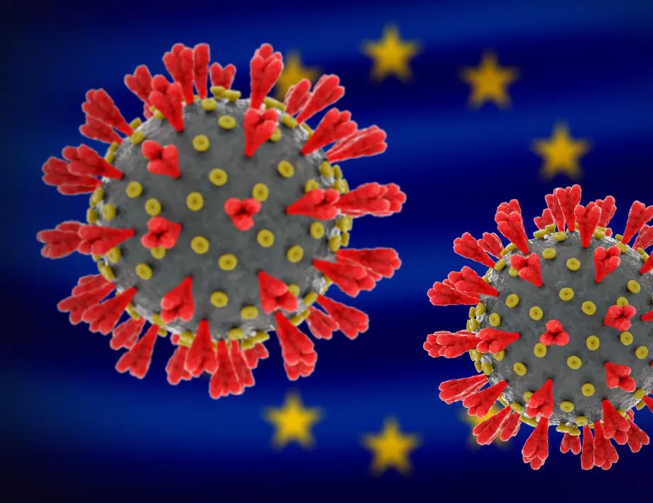 Надежда: Опасни гъбични плесени може и да бъдат превърнати в оръжие срещу коронавируса