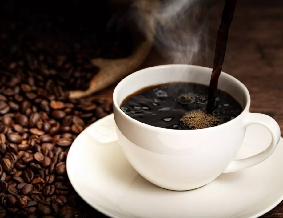 Не само хората обичат кафе. Вижте кои животни са луди по него