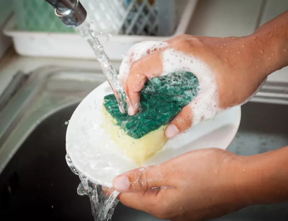 Ето защо гъбите за миене са с различни цветове