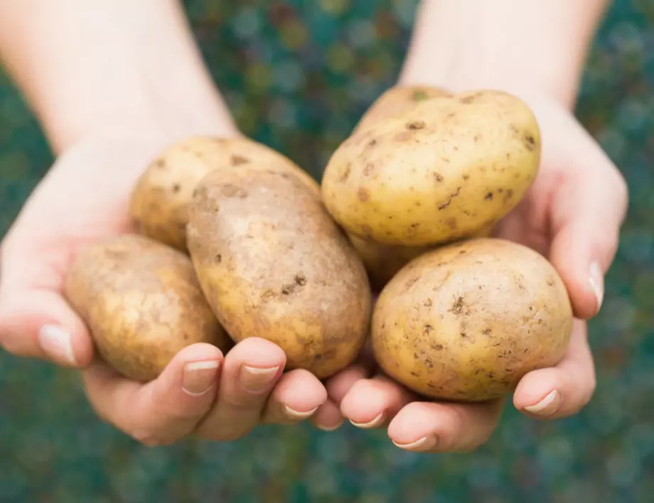 Това ще ви изненада: Защо да мием картофите в съдомиялна машина