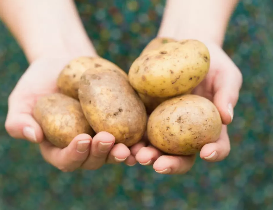 Ето колко картофи може да ядете, без да навредите на здравето си