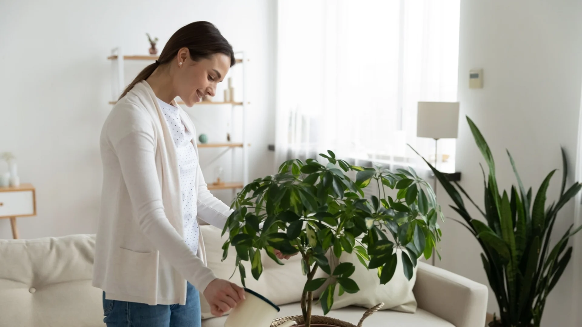 Как да ускорите растежа на стайните цветя - полейте ги с този вкусен разтвор