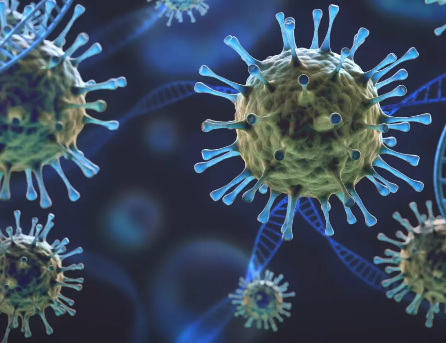 Китайски учени откриха 24 непознати досега коронавируси