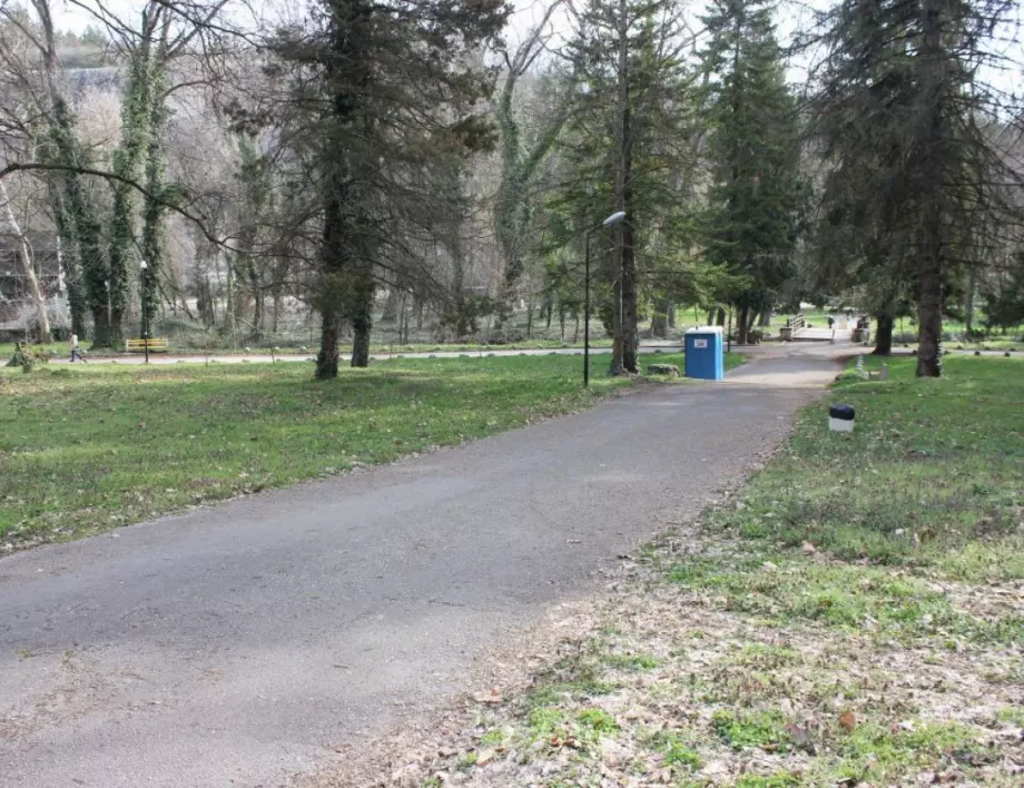 Продължава прочистването на растителността в парк „Кайлъка“, подменят се и осветителните тела по централната алея