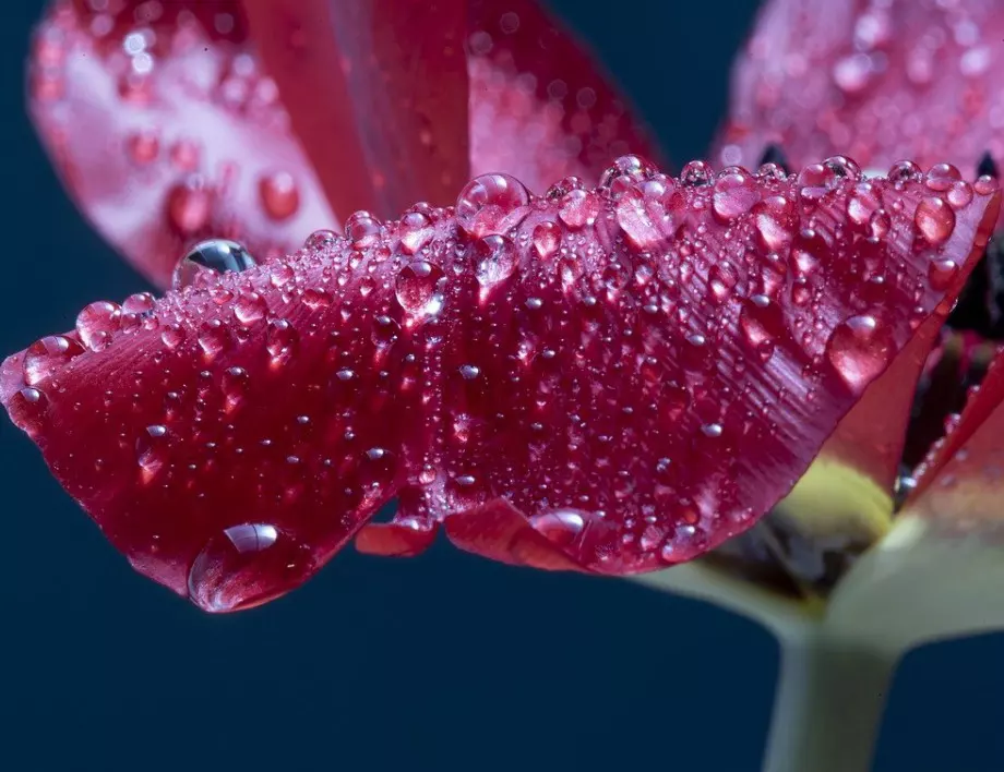 Прогноза за времето - 26 август (четвъртък)